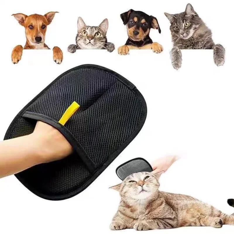 Pet Hair