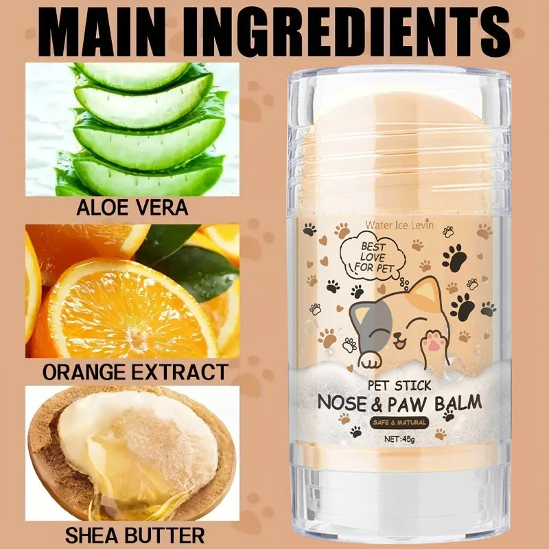 Dog Nose