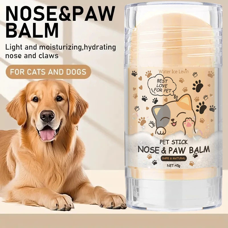 Dog Nose