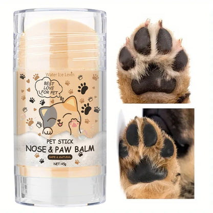 Dog Nose