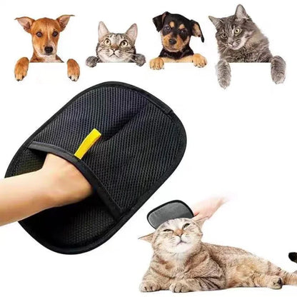 Pet Hair