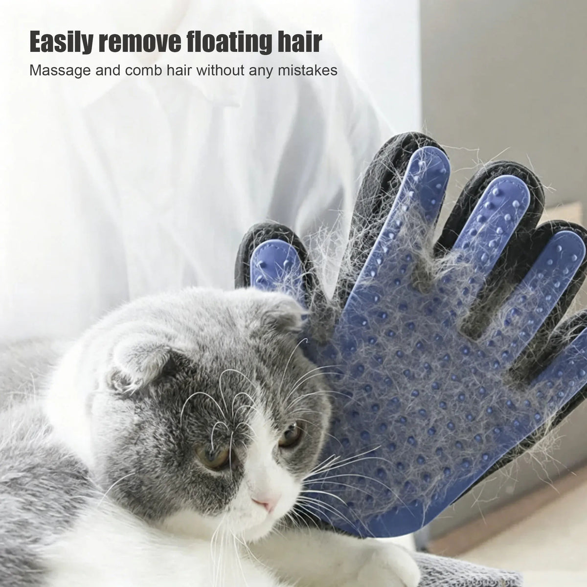 Pet Hair