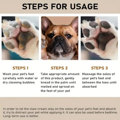 Dog Nose