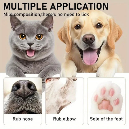Dog Nose