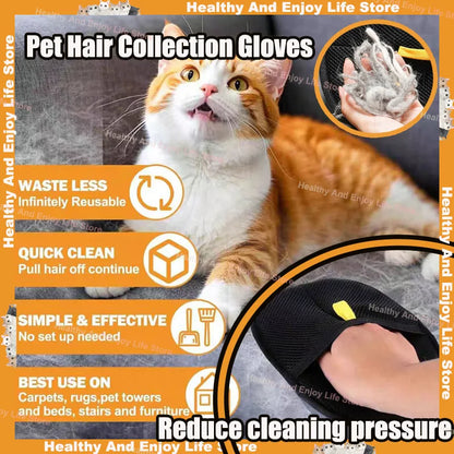 Pet Hair