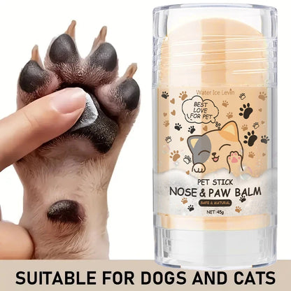 Dog Nose